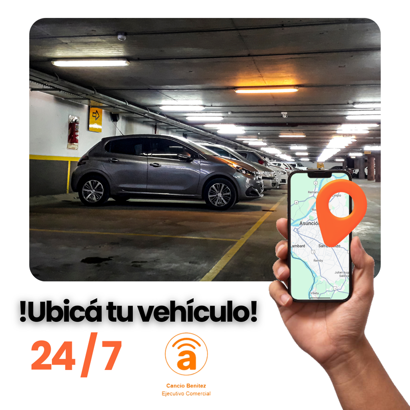 Flyer Monitoreo y Alarmas